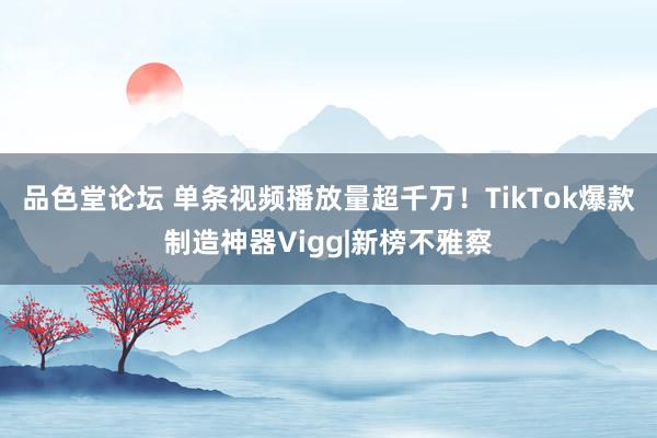 品色堂论坛 单条视频播放量超千万！TikTok爆款制造神器Vigg|新榜不雅察