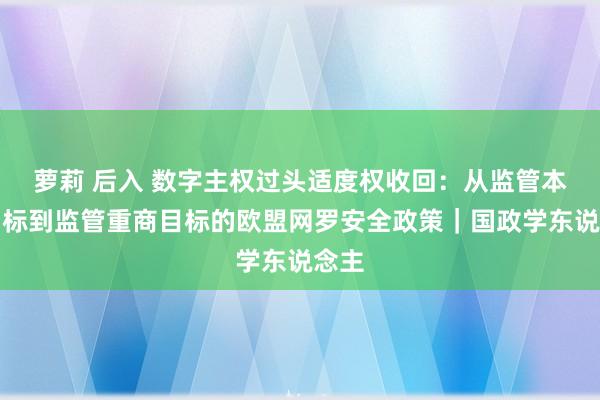 萝莉 后入 数字主权过头适度权收回：从监管本钱目标到监管重商目标的欧盟网罗安全政策｜国政学东说念主