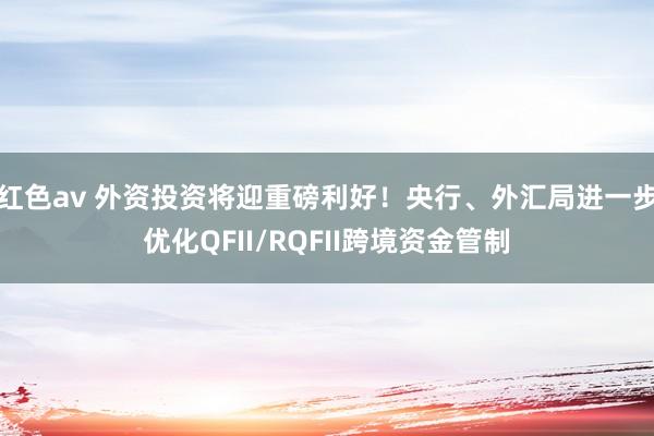 红色av 外资投资将迎重磅利好！央行、外汇局进一步优化QFII/RQFII跨境资金管制