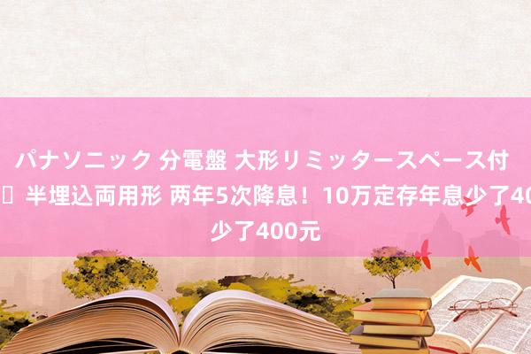 パナソニック 分電盤 大形リミッタースペース付 露出・半埋込両用形 两年5次降息！10万定存年息少了400元