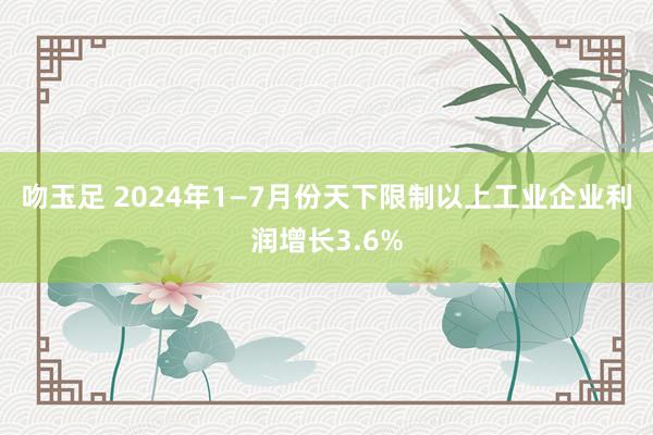 吻玉足 2024年1—7月份天下限制以上工业企业利润增长3.6%