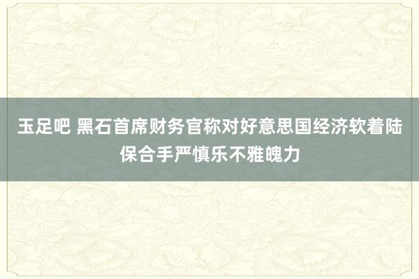 玉足吧 黑石首席财务官称对好意思国经济软着陆保合手严慎乐不雅魄力