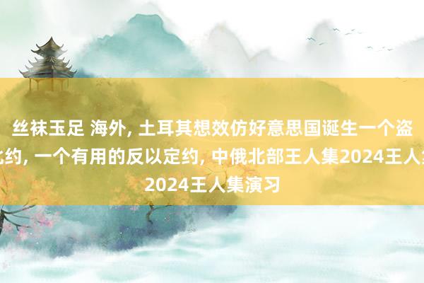 丝袜玉足 海外， 土耳其想效仿好意思国诞生一个盗版的北约， 一个有用的反以定约， 中俄北部王人集2024王人集演习