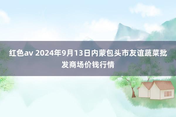 红色av 2024年9月13日内蒙包头市友谊蔬菜批发商场价钱行情