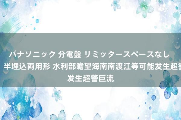 パナソニック 分電盤 リミッタースペースなし 露出・半埋込両用形 水利部瞻望海南南渡江等可能发生超警巨流