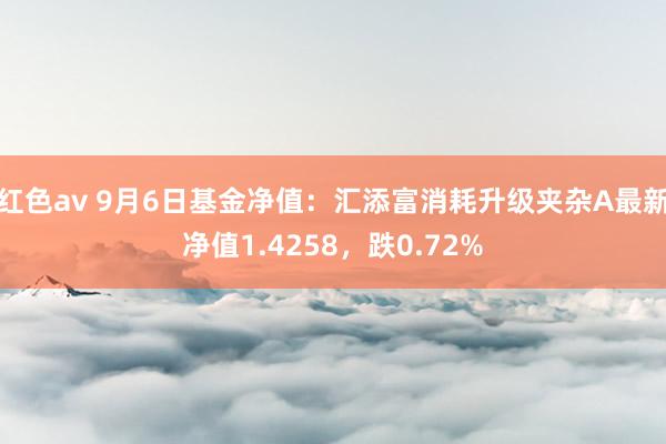 红色av 9月6日基金净值：汇添富消耗升级夹杂A最新净值1.4258，跌0.72%