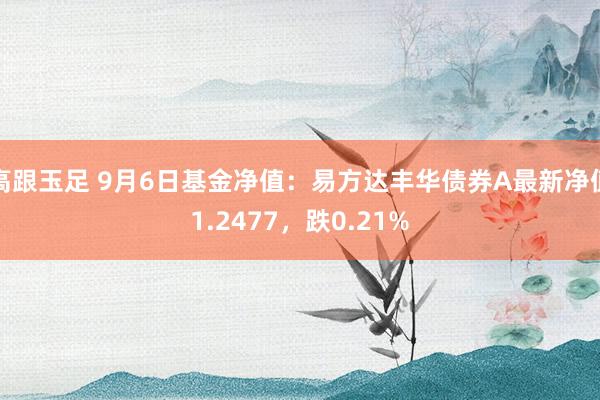 高跟玉足 9月6日基金净值：易方达丰华债券A最新净值1.2477，跌0.21%