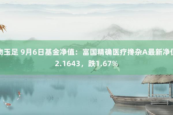 吻玉足 9月6日基金净值：富国精确医疗搀杂A最新净值2.1643，跌1.67%