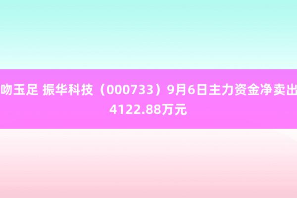 吻玉足 振华科技（000733）9月6日主力资金净卖出4122.88万元