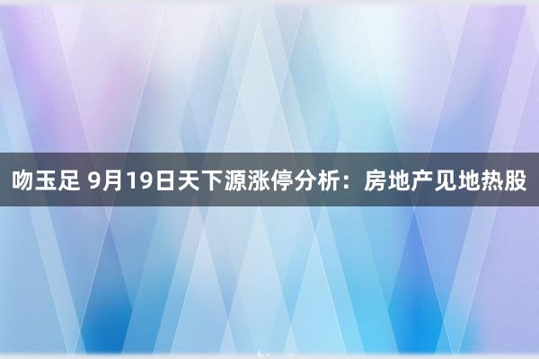 吻玉足 9月19日天下源涨停分析：房地产见地热股