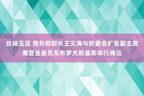 丝袜玉足 商务部部长王文涛与欧委会扩张副主席兼营业委员东布罗夫斯基斯举行商议