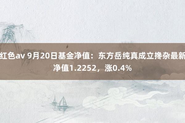 红色av 9月20日基金净值：东方岳纯真成立搀杂最新净值1.2252，涨0.4%