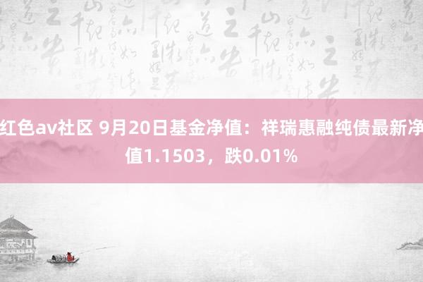 红色av社区 9月20日基金净值：祥瑞惠融纯债最新净值1.1503，跌0.01%