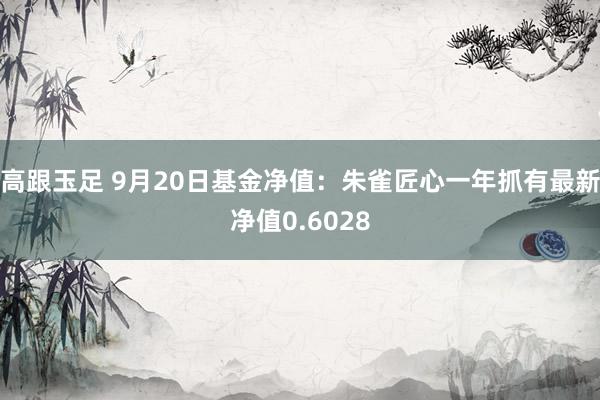 高跟玉足 9月20日基金净值：朱雀匠心一年抓有最新净值0.6028