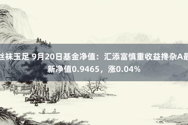 丝袜玉足 9月20日基金净值：汇添富慎重收益搀杂A最新净值0.9465，涨0.04%