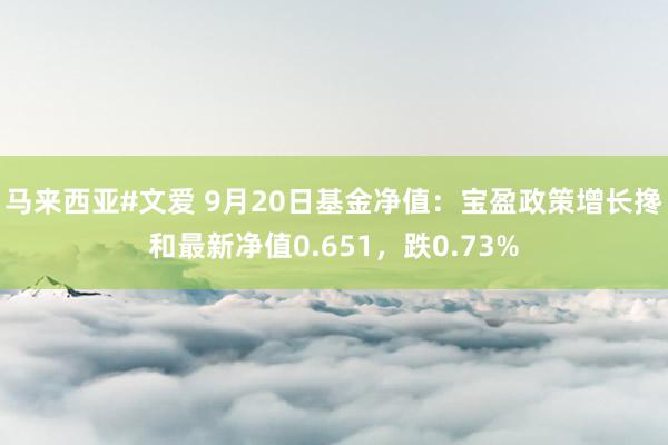 马来西亚#文爱 9月20日基金净值：宝盈政策增长搀和最新净值0.651，跌0.73%