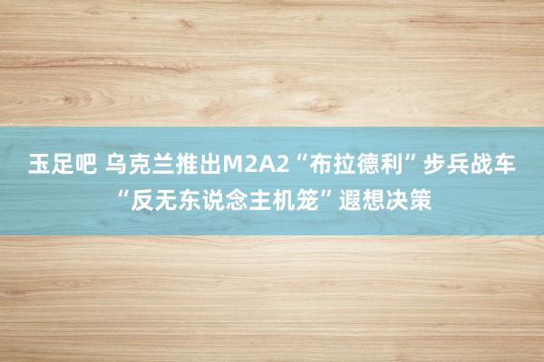 玉足吧 乌克兰推出M2A2“布拉德利”步兵战车“反无东说念主机笼”遐想决策