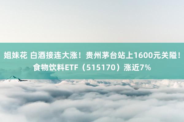 姐妹花 白酒接连大涨！贵州茅台站上1600元关隘！食物饮料ETF（515170）涨近7%