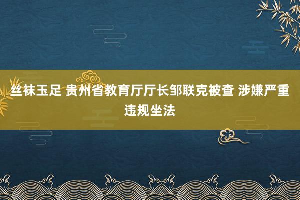 丝袜玉足 贵州省教育厅厅长邹联克被查 涉嫌严重违规坐法