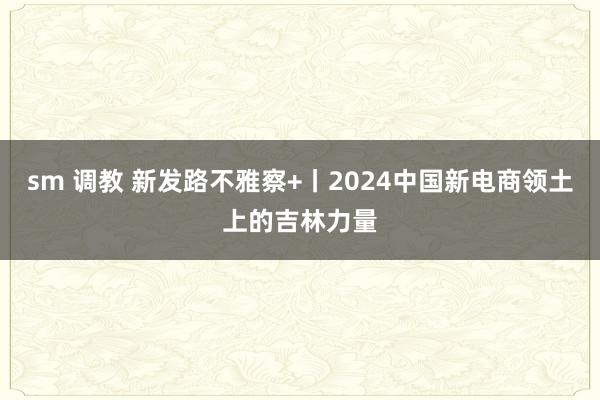 sm 调教 新发路不雅察+丨2024中国新电商领土上的吉林力量