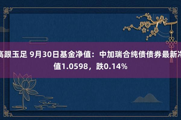 高跟玉足 9月30日基金净值：中加瑞合纯债债券最新净值1.0598，跌0.14%