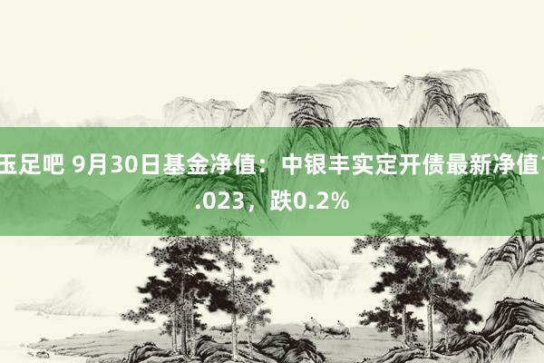 玉足吧 9月30日基金净值：中银丰实定开债最新净值1.023，跌0.2%