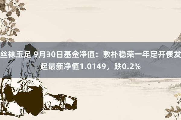 丝袜玉足 9月30日基金净值：敦朴稳荣一年定开债发起最新净值1.0149，跌0.2%