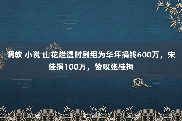 调教 小说 山花烂漫时剧组为华坪捐钱600万，宋佳捐100万，赞叹张桂梅