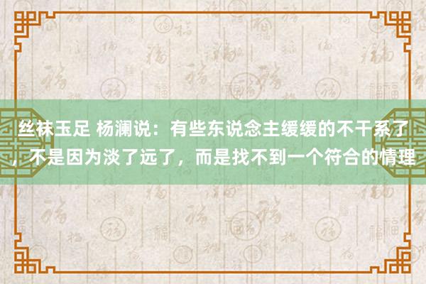 丝袜玉足 杨澜说：有些东说念主缓缓的不干系了，不是因为淡了远了，而是找不到一个符合的情理