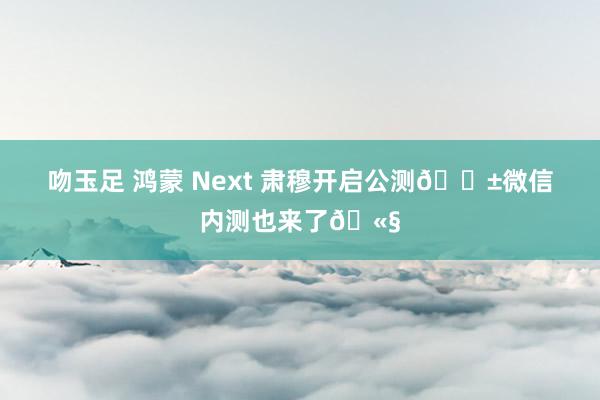 吻玉足 鸿蒙 Next 肃穆开启公测📱微信内测也来了🫧