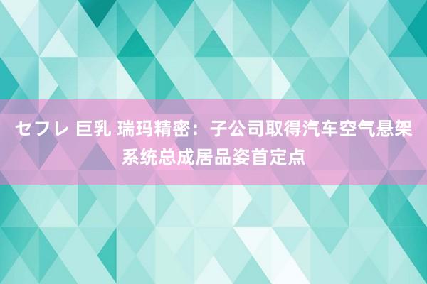 セフレ 巨乳 瑞玛精密：子公司取得汽车空气悬架系统总成居品姿首定点