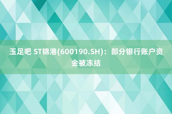 玉足吧 ST锦港(600190.SH)：部分银行账户资金被冻结