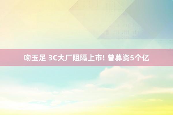 吻玉足 3C大厂阻隔上市! 曾募资5个亿