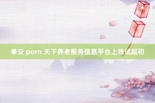 拳交 porn 天下养老服务信息平台上线试起初