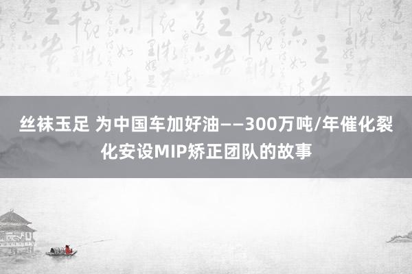 丝袜玉足 为中国车加好油——300万吨/年催化裂化安设MIP矫正团队的故事