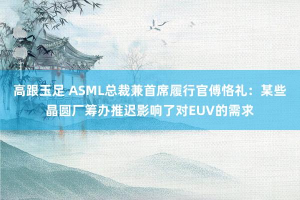 高跟玉足 ASML总裁兼首席履行官傅恪礼：某些晶圆厂筹办推迟影响了对EUV的需求