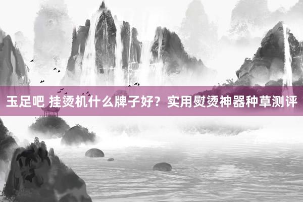 玉足吧 挂烫机什么牌子好？实用熨烫神器种草测评