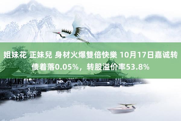 姐妹花 正妹兒 身材火爆雙倍快樂 10月17日嘉诚转债着落0.05%，转股溢价率53.8%