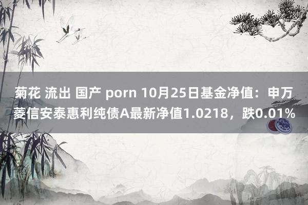 菊花 流出 国产 porn 10月25日基金净值：申万菱信安泰惠利纯债A最新净值1.0218，跌0.01%