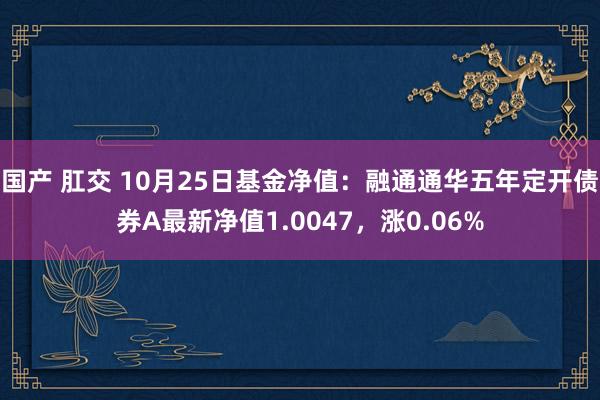 国产 肛交 10月25日基金净值：融通通华五年定开债券A最新净值1.0047，涨0.06%