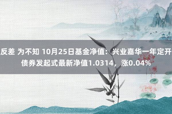 反差 为不知 10月25日基金净值：兴业嘉华一年定开债券发起式最新净值1.0314，涨0.04%