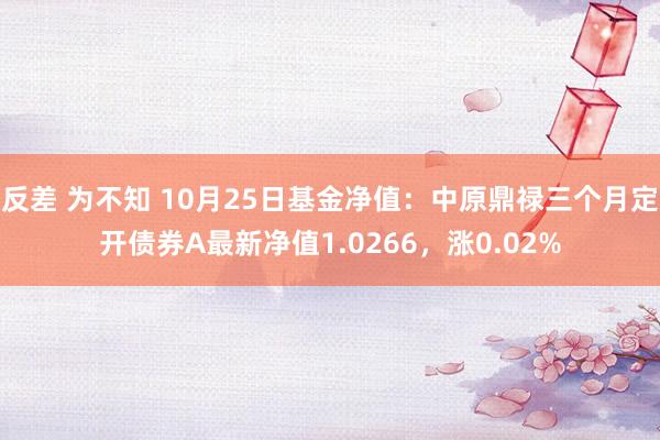 反差 为不知 10月25日基金净值：中原鼎禄三个月定开债券A最新净值1.0266，涨0.02%