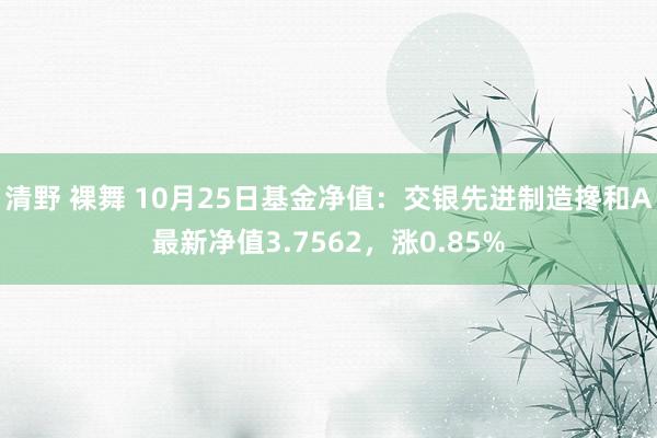 清野 裸舞 10月25日基金净值：交银先进制造搀和A最新净值3.7562，涨0.85%