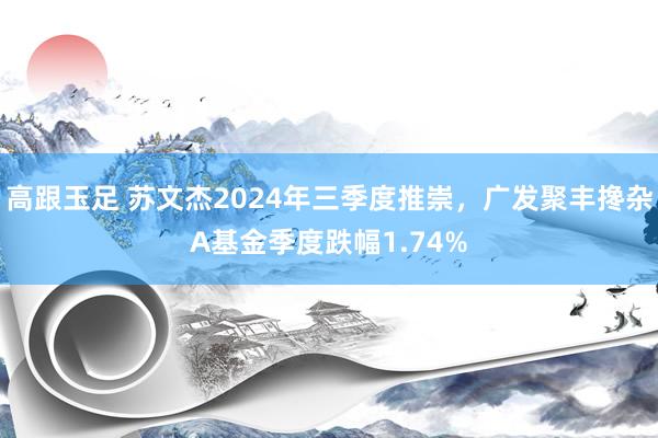 高跟玉足 苏文杰2024年三季度推崇，广发聚丰搀杂A基金季度跌幅1.74%