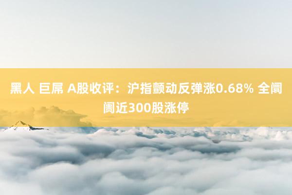 黑人 巨屌 A股收评：沪指颤动反弹涨0.68% 全阛阓近300股涨停