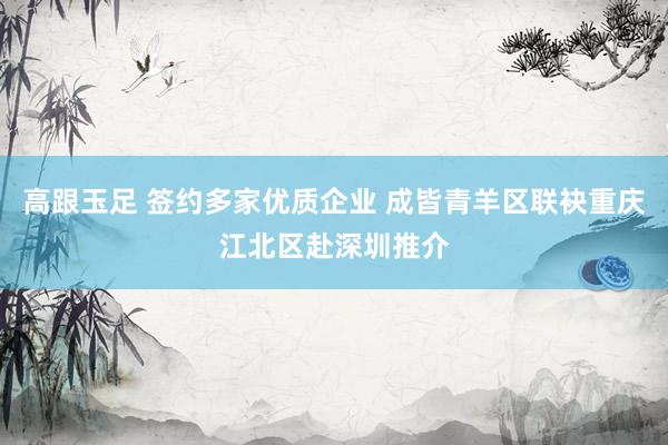 高跟玉足 签约多家优质企业 成皆青羊区联袂重庆江北区赴深圳推介