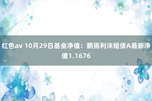 红色av 10月29日基金净值：鹏扬利沣短债A最新净值1.1676