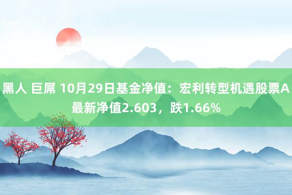 黑人 巨屌 10月29日基金净值：宏利转型机遇股票A最新净值2.603，跌1.66%