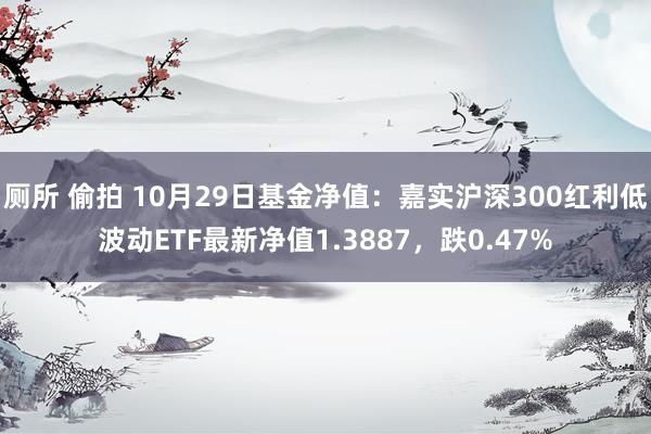 厕所 偷拍 10月29日基金净值：嘉实沪深300红利低波动ETF最新净值1.3887，跌0.47%