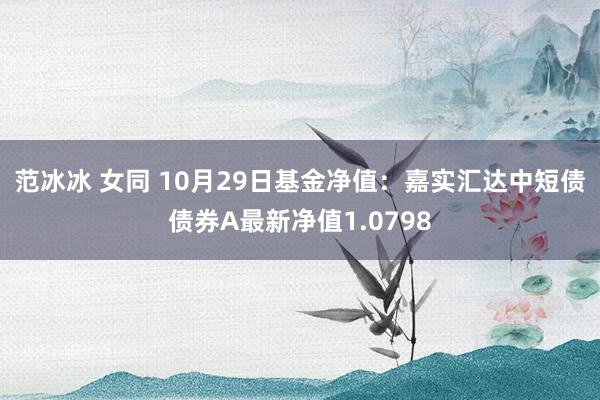 范冰冰 女同 10月29日基金净值：嘉实汇达中短债债券A最新净值1.0798